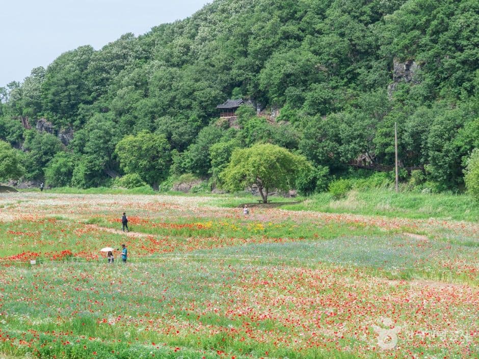 악양둑방