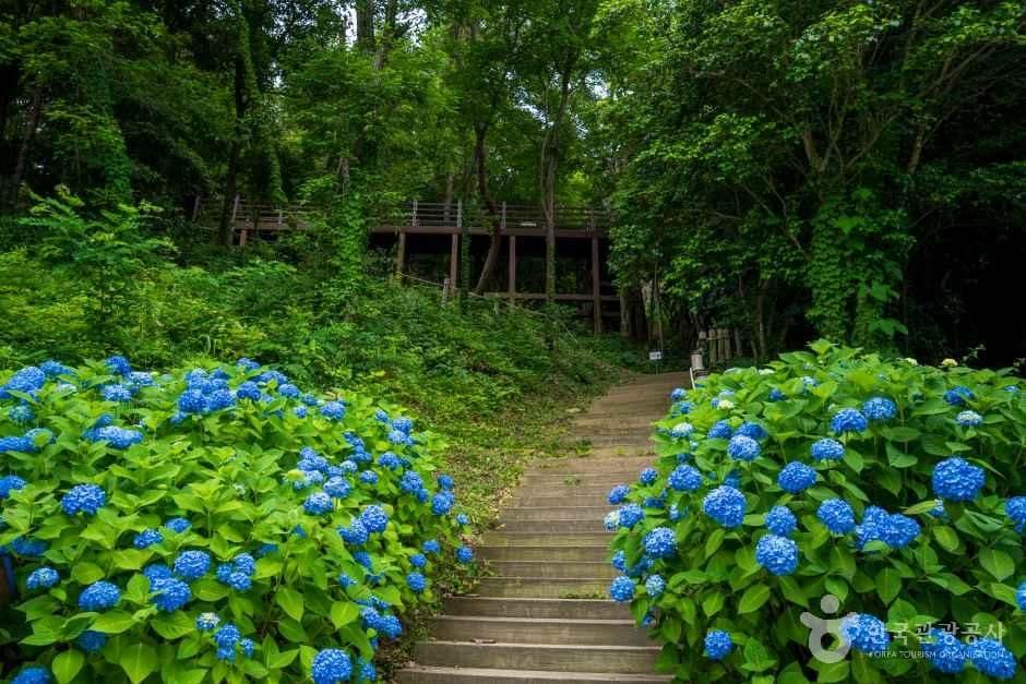 약산해안치유의 숲