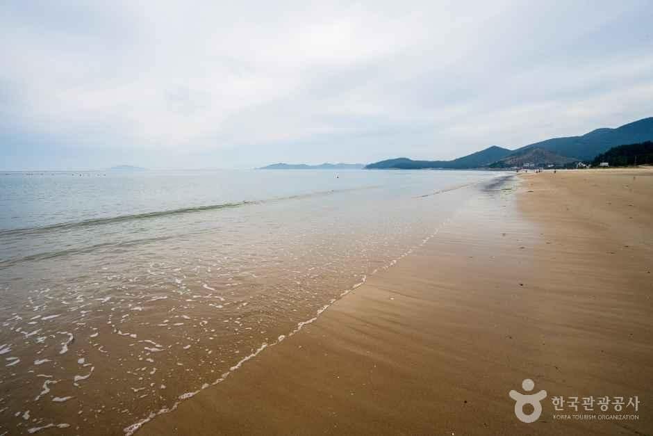신지 명사십리해수욕장