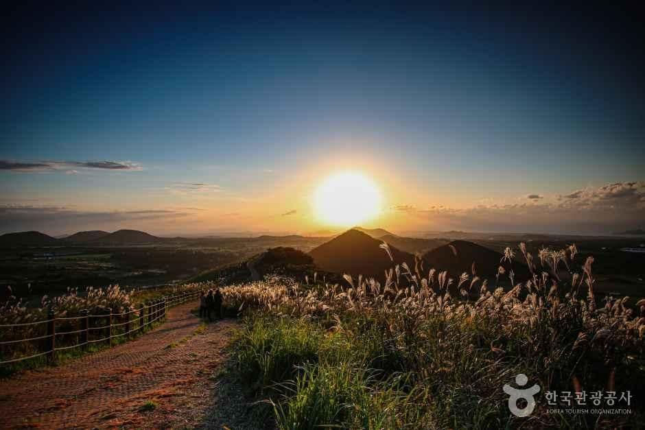 새별오름