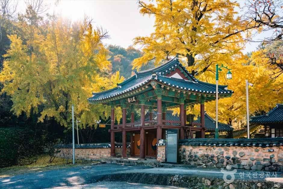 함안향교