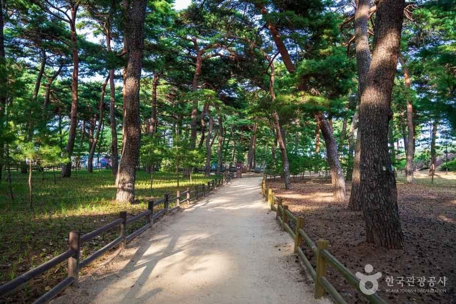 울진 왕피천 공원