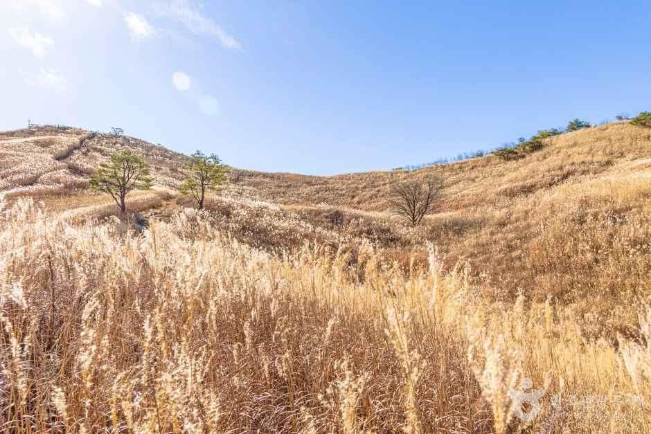 민둥산