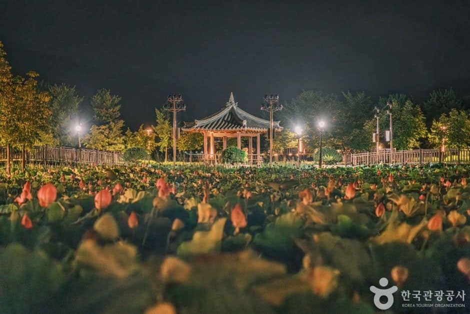 신정호수공원