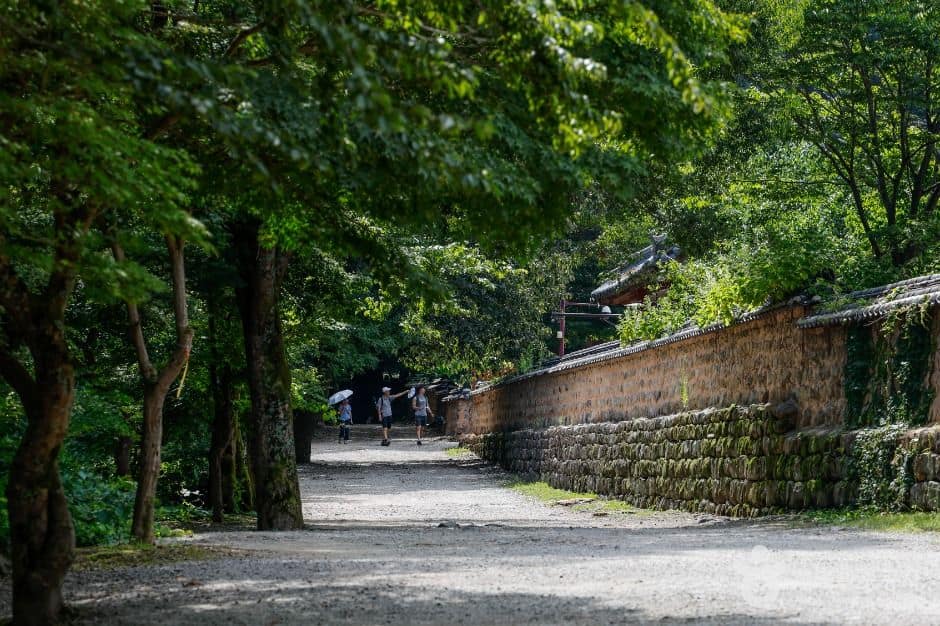 고창 선운사