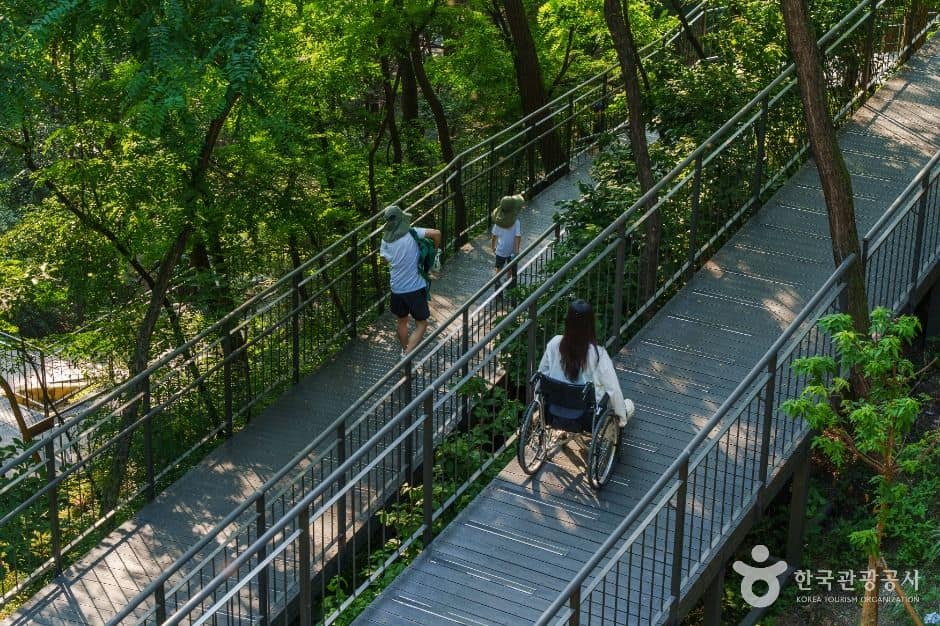 남산자락숲길