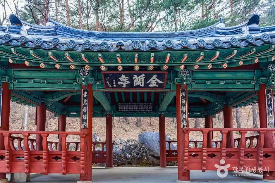 금란정
