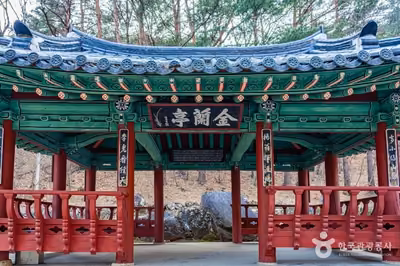 금란정