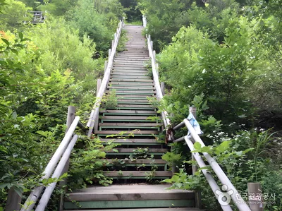 소구니산