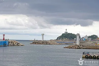 장사항
