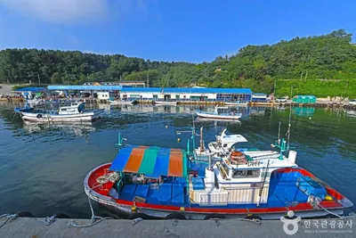 초도항