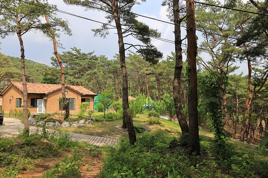 한반도 솔숲 쉼터