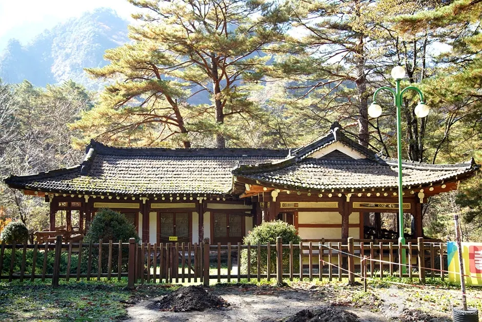 장수대