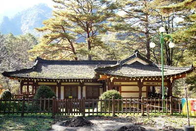 장수대