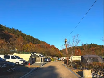 태화연오토캠핑장