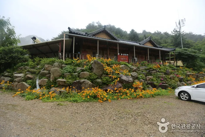 강변에서 황토콘도