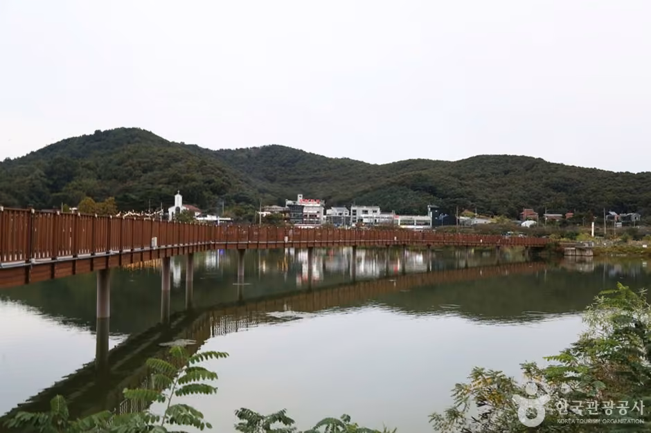 물왕호수