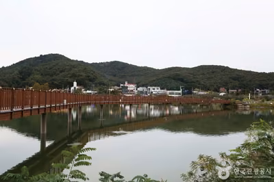 물왕호수
