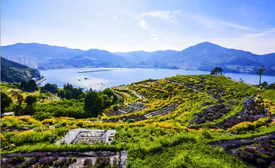 지세포성 꽃동산