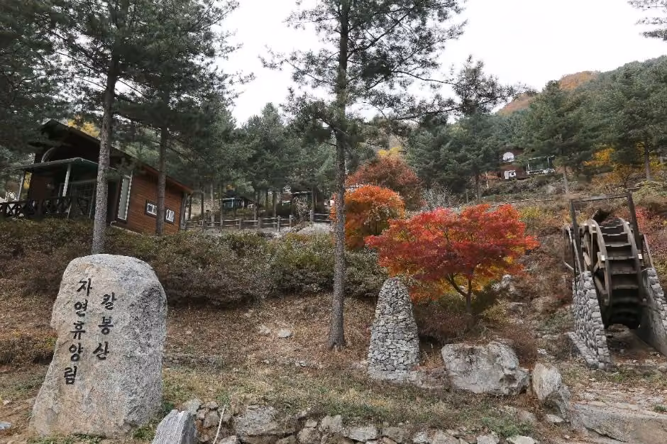 칼봉산자연휴양림