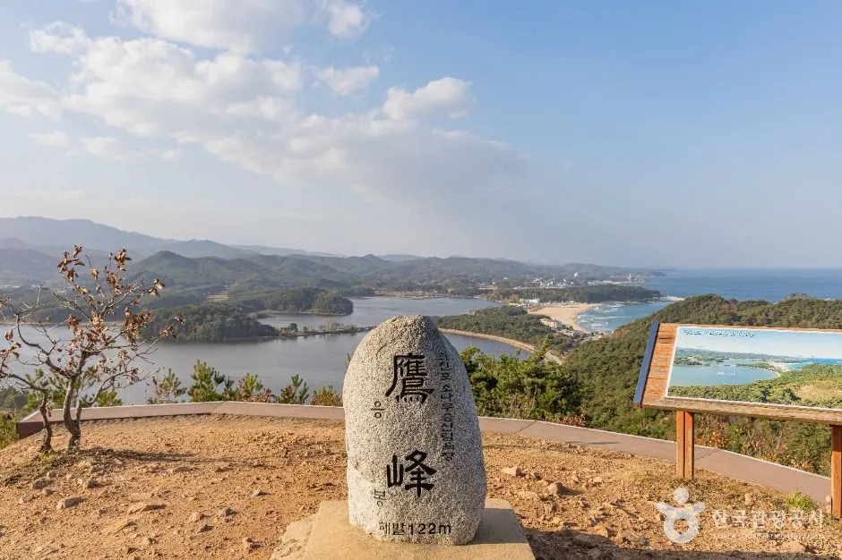 응봉