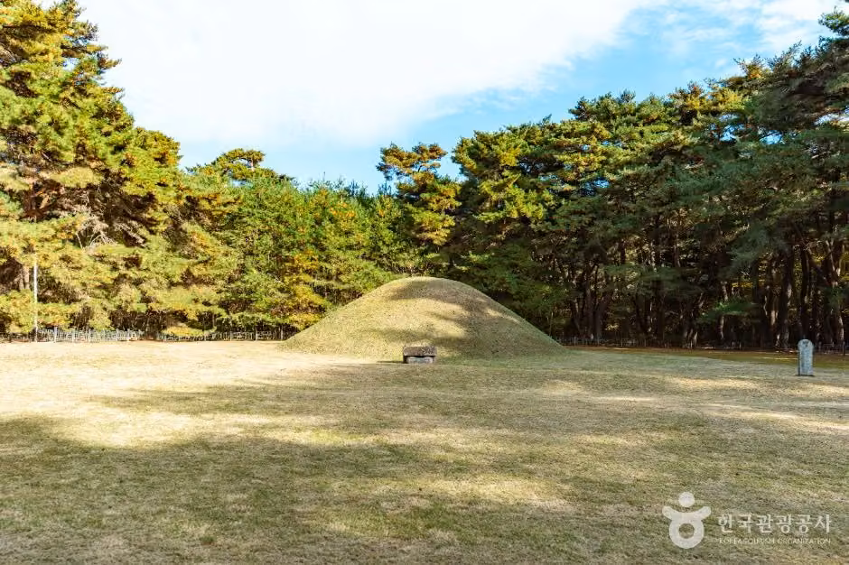 경주 경애왕릉