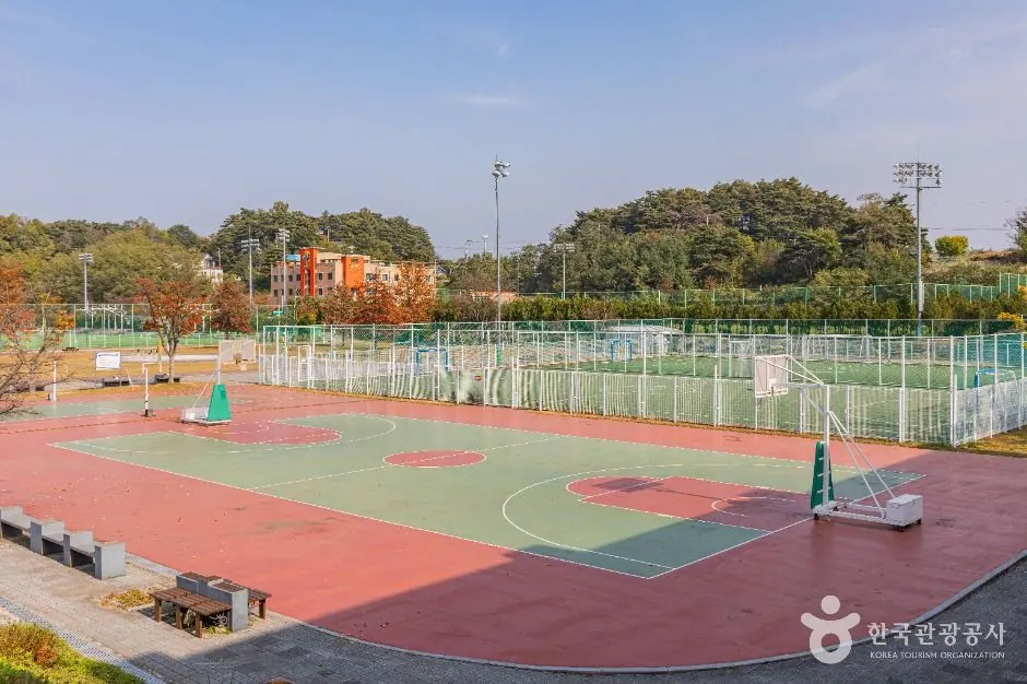 강남축구공원