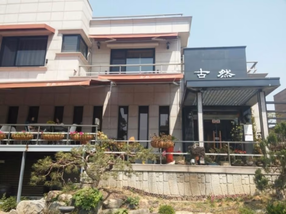 고연