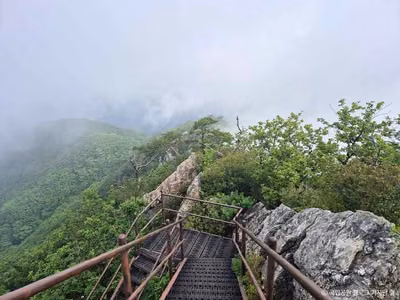 금수산