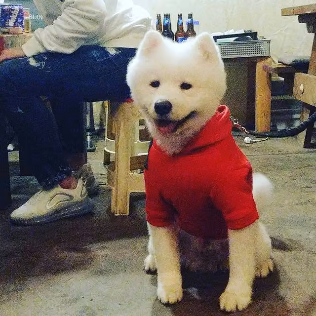 모노캠프