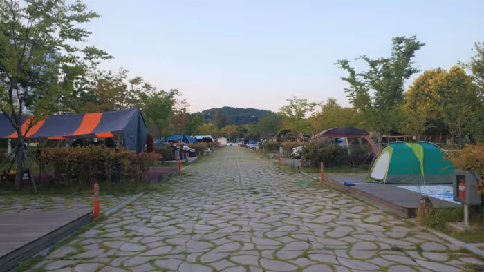 시민의 숲 야영장