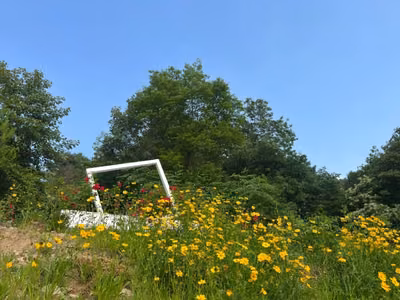 춘천숲자연휴양림