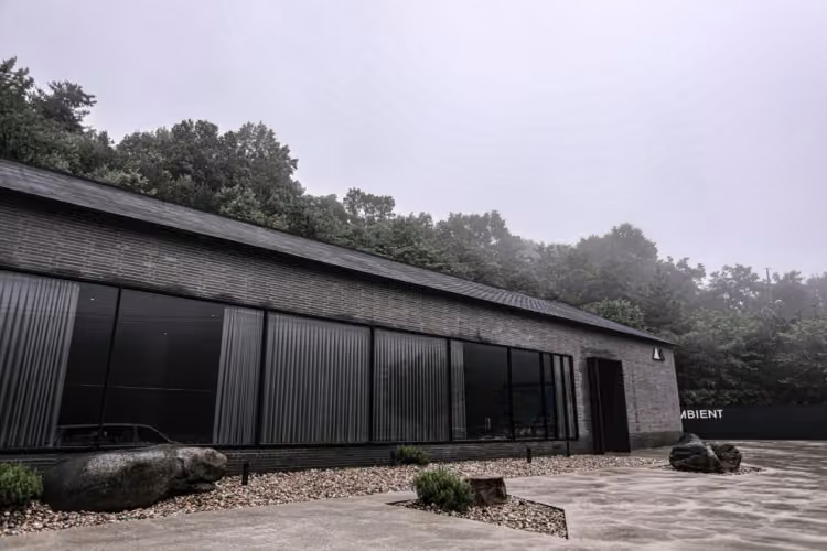 엠비언트