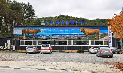강원한우정육식당