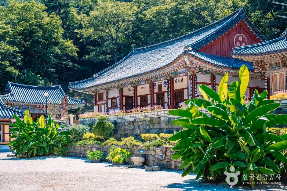 대원사(산청)