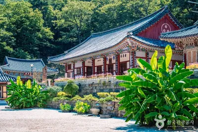 대원사(산청)