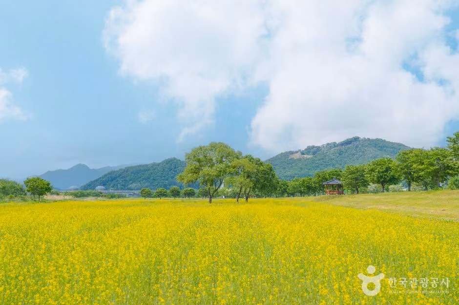 당남리섬