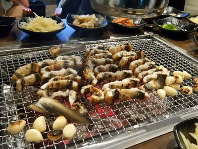 장어의품격