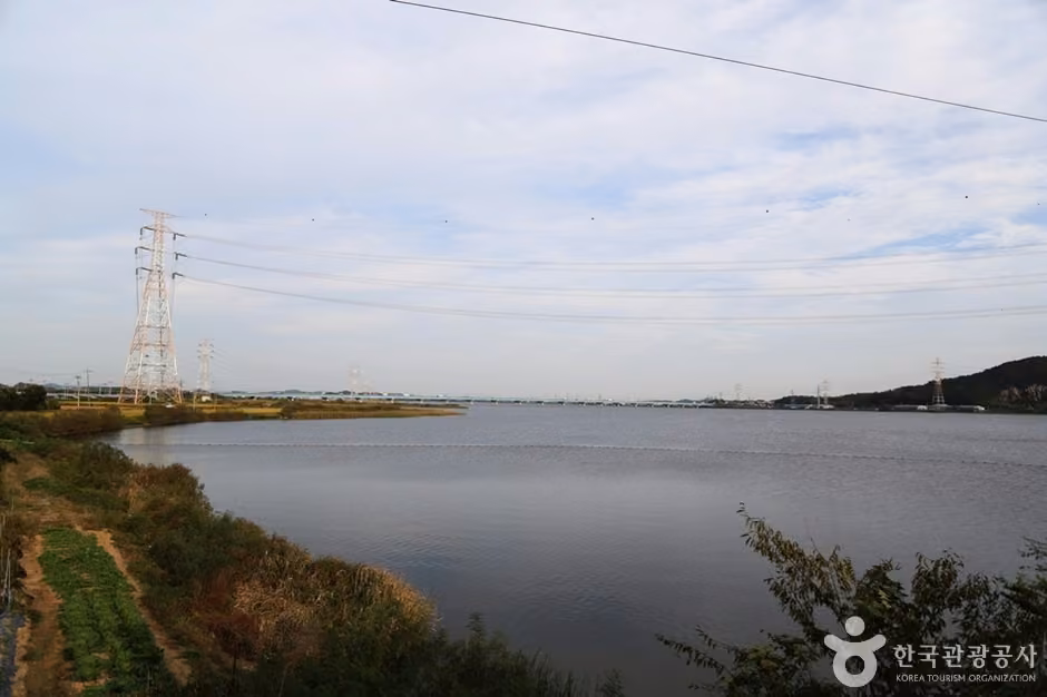 남양호(남양황라)
