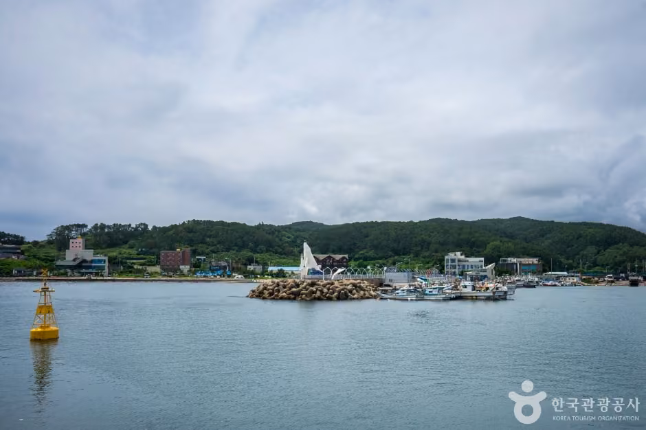 정자항