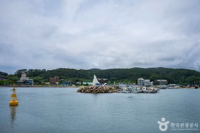 정자항