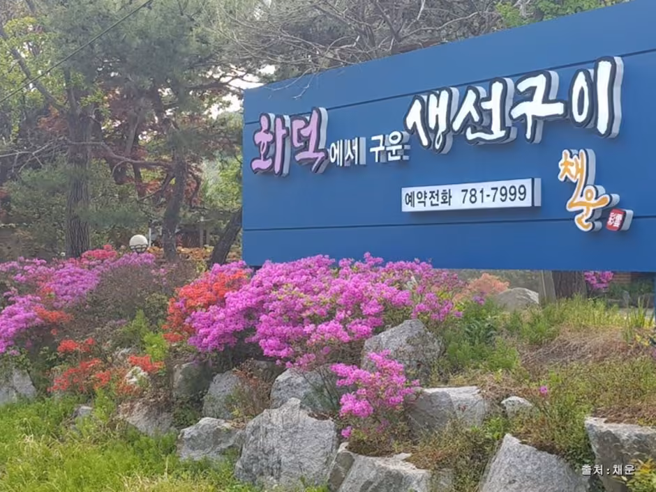 채운