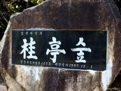 자인계정숲(경산 자인의계정숲)