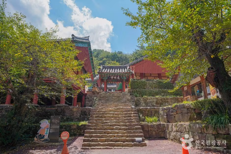 도림사(곡성)