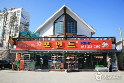 포인트스키