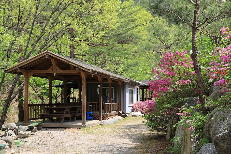 꿈꾸는계곡 펜션