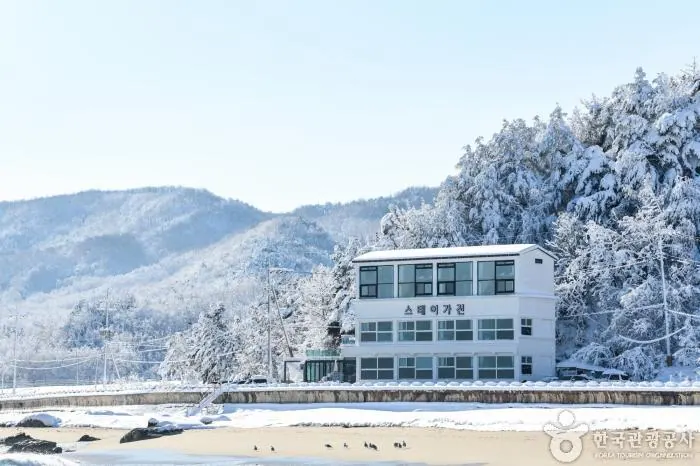 스테이가진