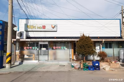 텃밭에노는닭