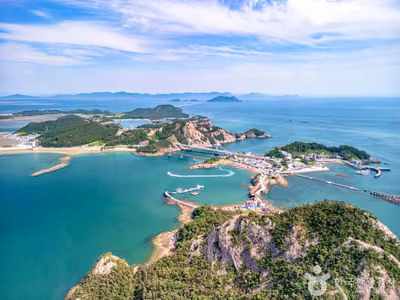 대장도