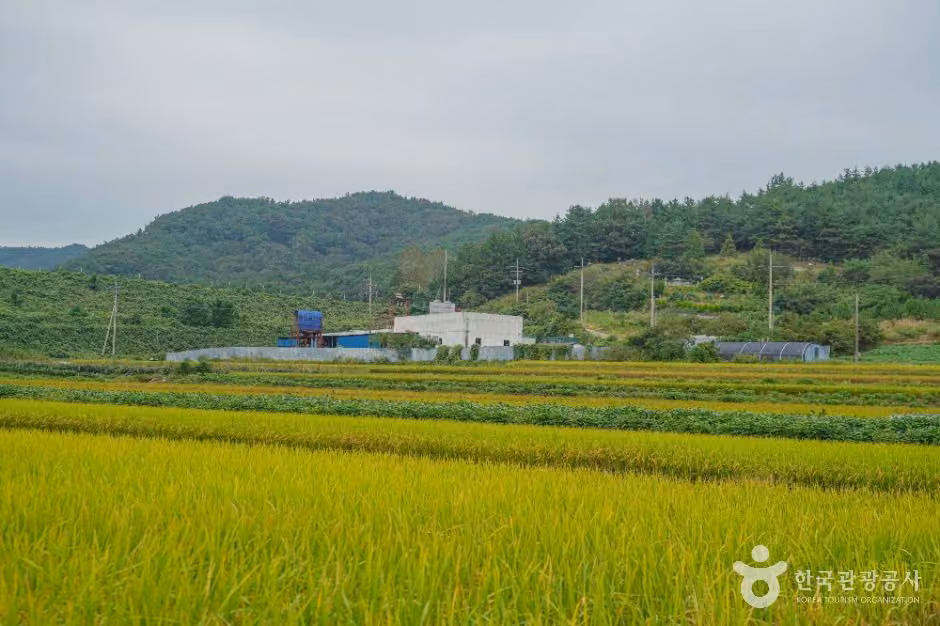 월선체험 휴양마을
